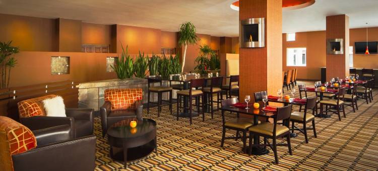 温德姆菲尼克斯机场-坦佩(Wyndham Phoenix Airport/Tempe)图片