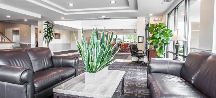 贝灵厄姆舒适酒店(Comfort Inn Bellingham)图片