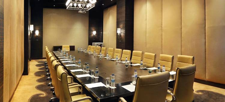 新德里帕池豪尔丽笙酒店(Radisson Hotel New Delhi Paschim Vihar)图片