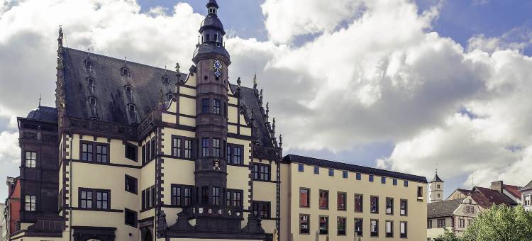 施韦因福特迈尼瑟尔美居酒店(Mercure Hotel Schweinfurt Maininsel)图片