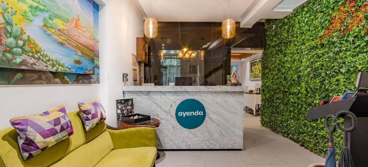 OYO安苏雷斯之家(OYO Casa Anzures Mexico City)图片