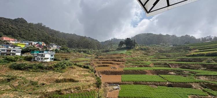 罗扎娜度假屋(Rozana Retreat)图片