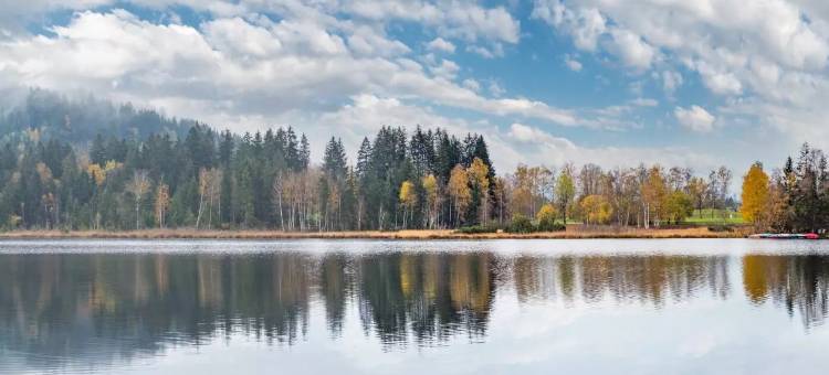 Roomie阿尔卑斯旅馆(Safestay Kitzbühel Centre)图片
