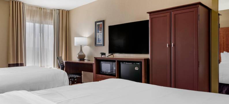 伯明翰霍姆伍德舒适酒店(Comfort Inn Birmingham Homewood)图片