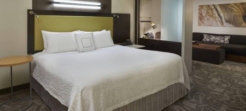 多伦多旺市万豪SpringHill酒店(SpringHill Suites Toronto Vaughan)图片