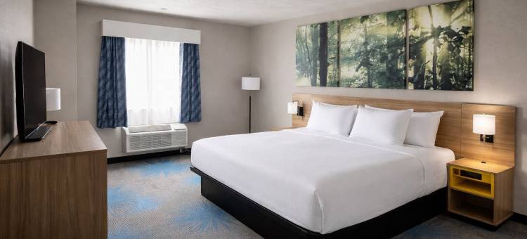 Days Inn by Wyndham Lincoln, IL/Route 66图片