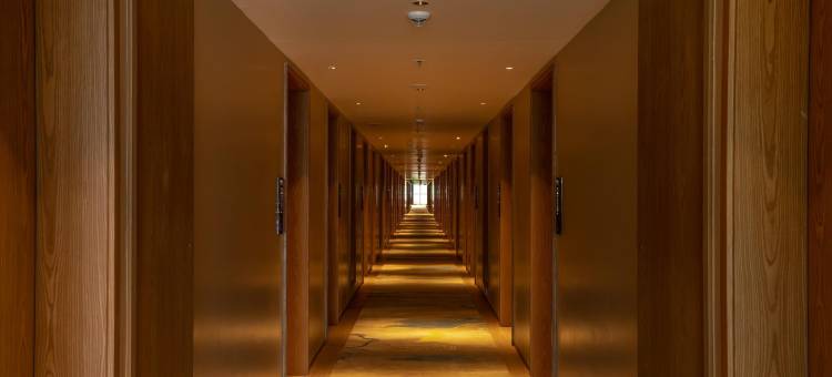 希尔顿花园酒店班加罗尔怀特菲尔德(Hilton Garden Inn Bengaluru Whitefield)图片
