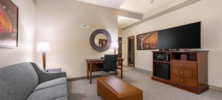 新奥尔良德鲁里广场酒店(Drury Plaza Hotel New Orleans)图片