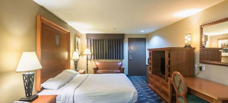 德克萨斯斯奈德 6 号汽车旅馆(Motel 6 Snyder, TX)图片