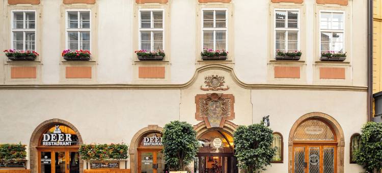 布拉格铁门套房酒店(Iron Gate Hotel & Suites Prague by Bhg)图片