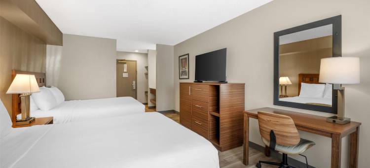 阿尔伯克基绿树旅馆(Best Western North I-25 Hotel)图片
