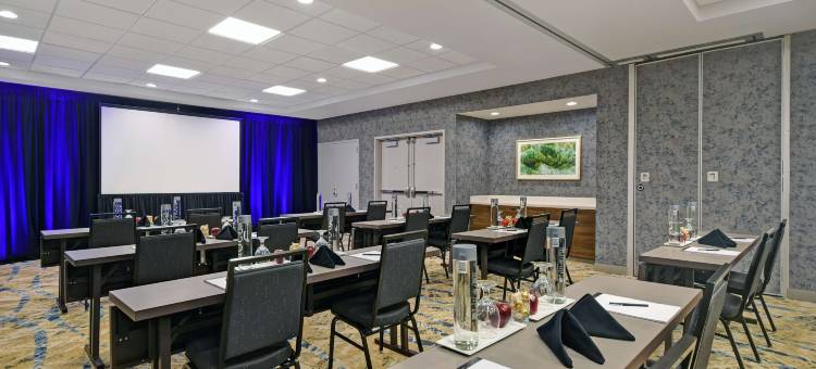 休斯顿加勒里亚区希尔顿花园酒店(Hilton Garden Inn Houston/Galleria Area)图片