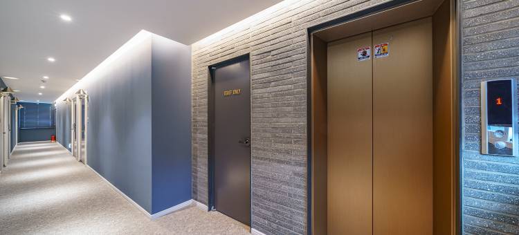 釜山基江布朗点(Busan Gijang Brown Dot)图片