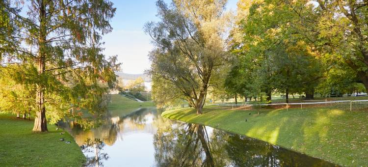 奥林匹克公园生活酒店(Living Hotel am Olympiapark)图片