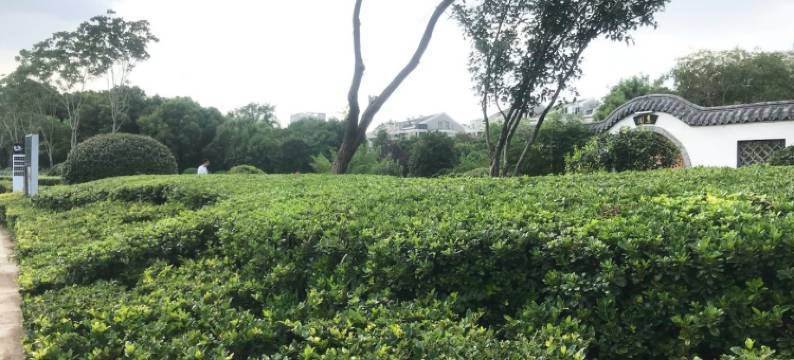 环宇艺美风尚民宿(北圩路分店)图片