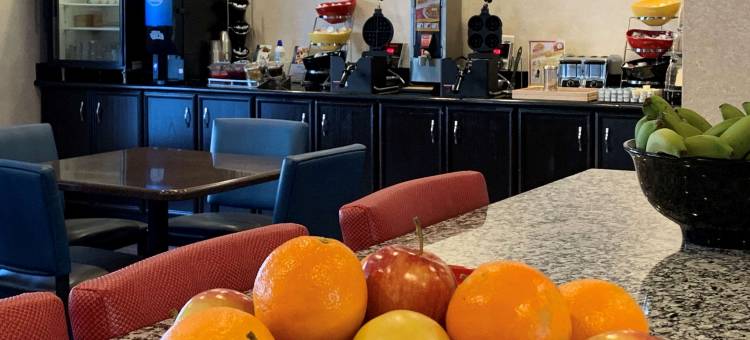 圣保罗东舒适酒店(Comfort Inn Saint Paul East)图片