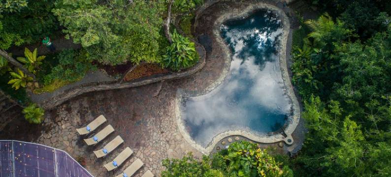 蒙特维尔德小屋(Monteverde Lodge)图片