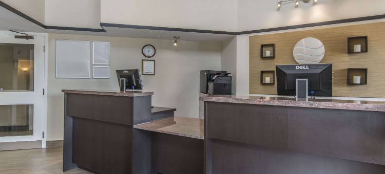 舒适酒店(Comfort Inn)图片