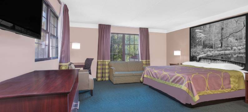 奥斯特尔-六旗温德姆速8酒店(Super 8 by Wyndham Austell/Six Flags)图片