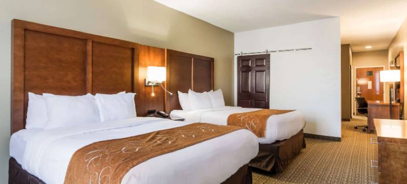 舒适套房酒店(Comfort Suites)图片