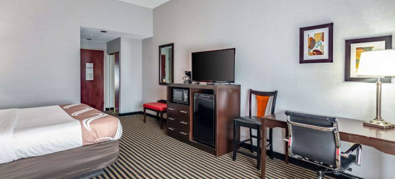 阿宾登岛凯艺套房酒店(Quality Inn & Suites)图片