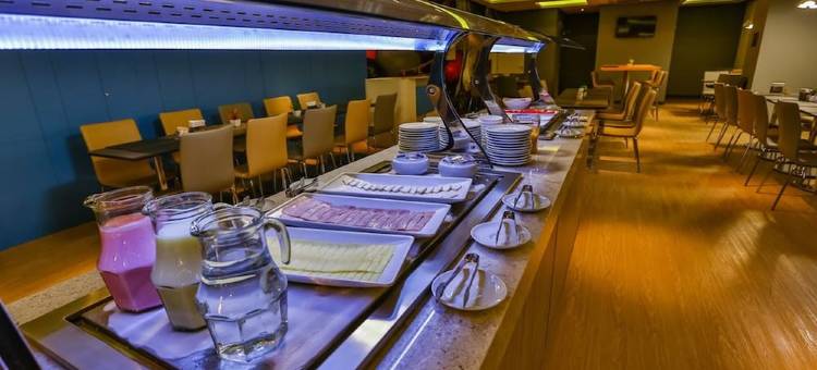 圣安德雷希尔顿花园酒店(Hilton Garden Inn Santo Andre)图片