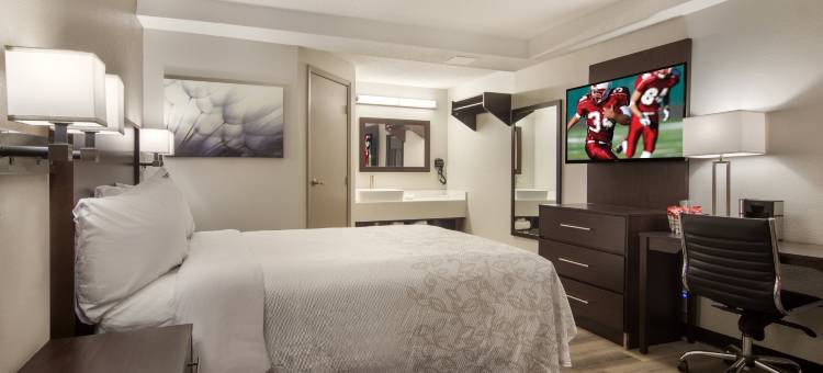 伊利红屋顶普拉斯套房酒店(Red Roof Inn Plus & Suites Erie)图片