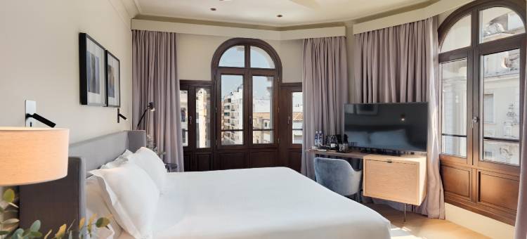 科洛梅拉宫H10酒店(H10 Palacio Colomera)图片