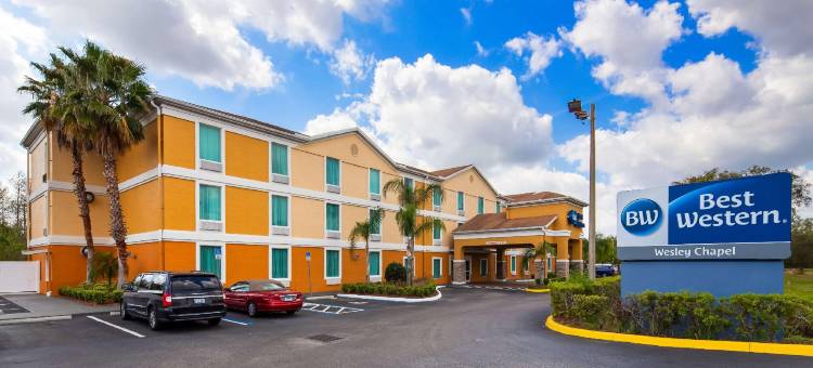 韦斯利查普尔贝斯特韦斯特酒店(Best Western Wesley Chapel)图片