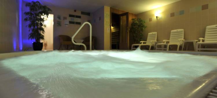 德美第奇金色郁金香酒店(Golden Tulip Hotel de Medici)图片