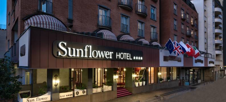 太阳花酒店(Hotel Sunflower)图片