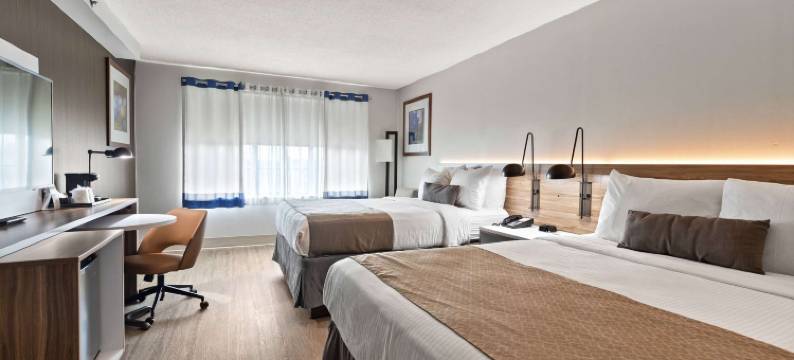 马纳萨斯温德姆花园酒店(Wyndham Garden Manassas)图片