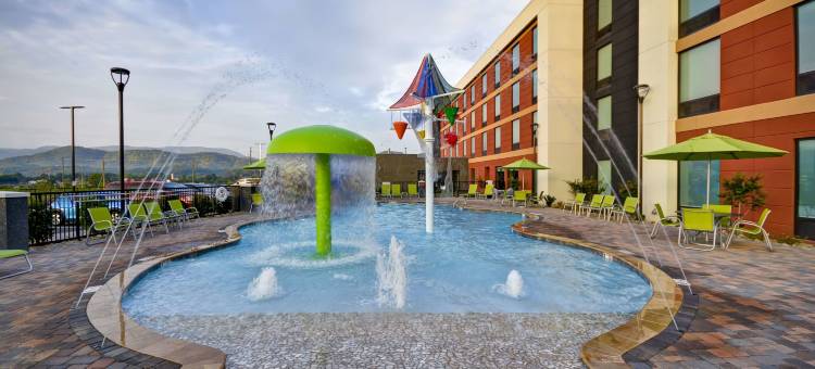 鸽子谷希尔顿惠庭酒店(Home2 Suites by Hilton Pigeon Forge)图片
