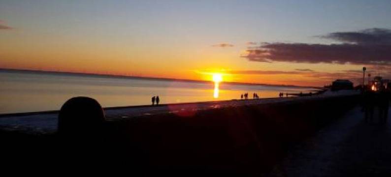 塞洛斯酒店(Hotel Seerose)图片