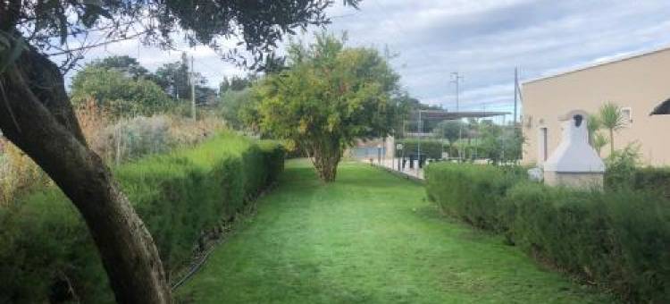 Ginepro Family图片