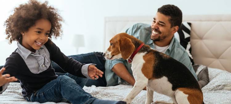 馨乐庭蒙彼利埃昂迪格纳酒店(Citadines Antigone Montpellier)图片