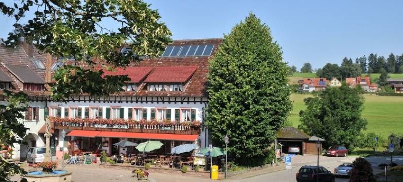 赫斯臣酒店(Hotel Hirschen)图片