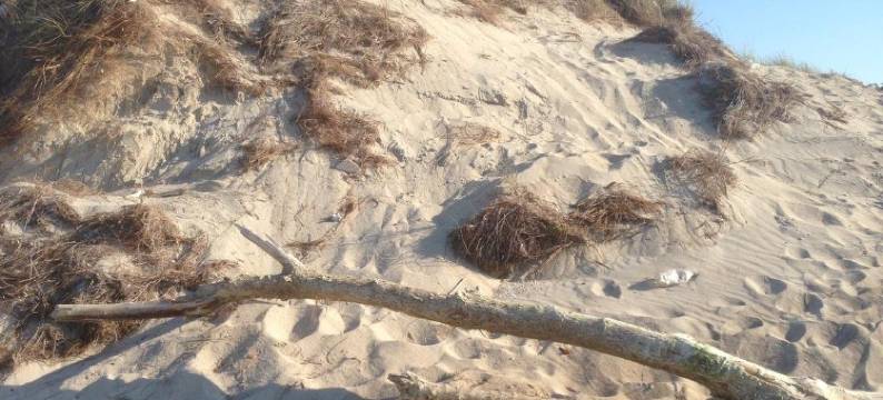 B&B Giovani & Barocco图片