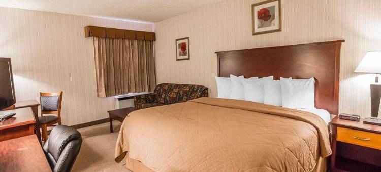 凯艺会议中心酒店(Quality Inn & Conference Centre)图片