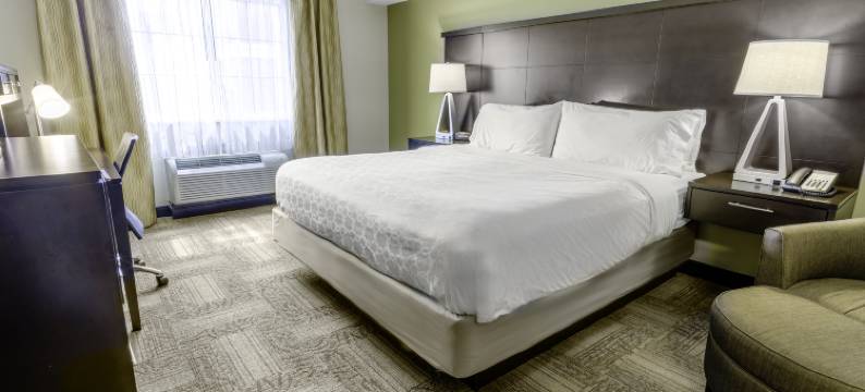 埃德蒙顿西区Staybridge Suites(Staybridge Suites WEST EDMONTON by IHG)图片