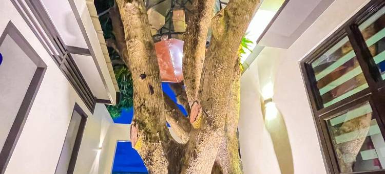 树屋行政别墅(Treehouse Angeles - Resort)图片