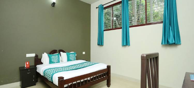 OYO 12058 the Green Mushroom图片