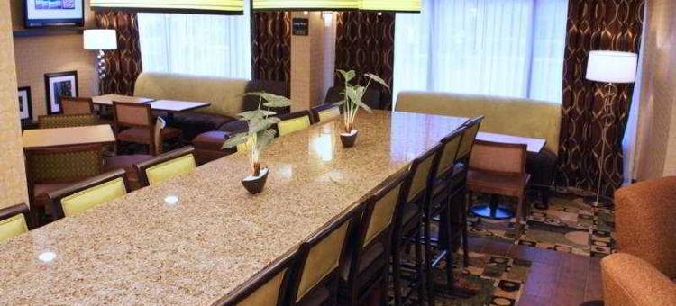 坦帕布兰登希尔顿Spark酒店(Spark by Hilton Tampa Brandon)图片