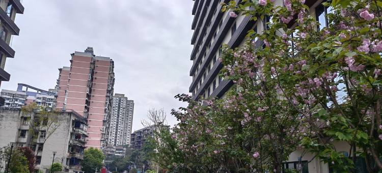 小鱼儿精品民宿(民治三支路分店)图片