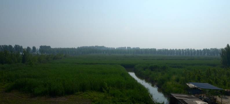 白洋淀艳梅农家院图片