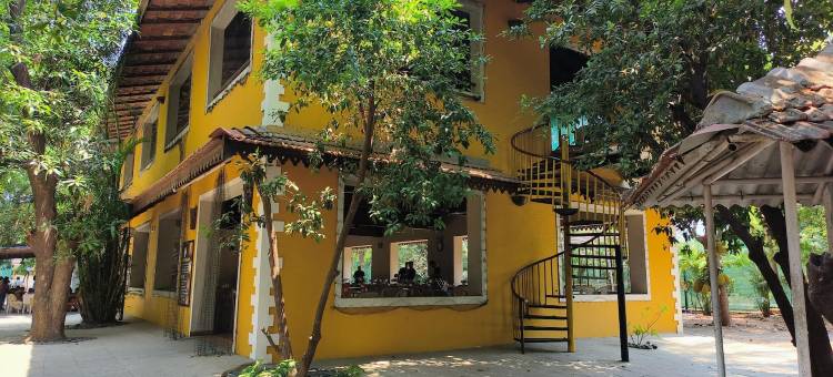 松林度假村(Pinewood Resort)图片