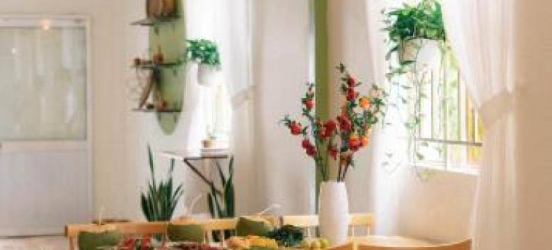 Phong Mo - Nha Mo Homestay Ben Tre图片