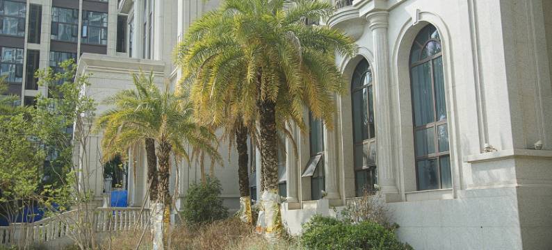 熙和凡尘公寓(春栖南路分店)图片