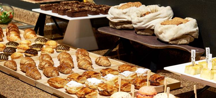 NH安道尔河谷酒店(NH Andorra la Vella)图片