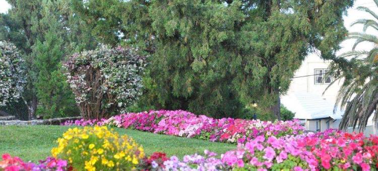 罗斯蒙特套房酒店(Rosemont Guest Suites)图片